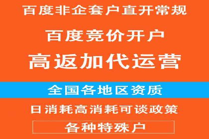行业应用案例：SEM代运营公司的智慧与策略